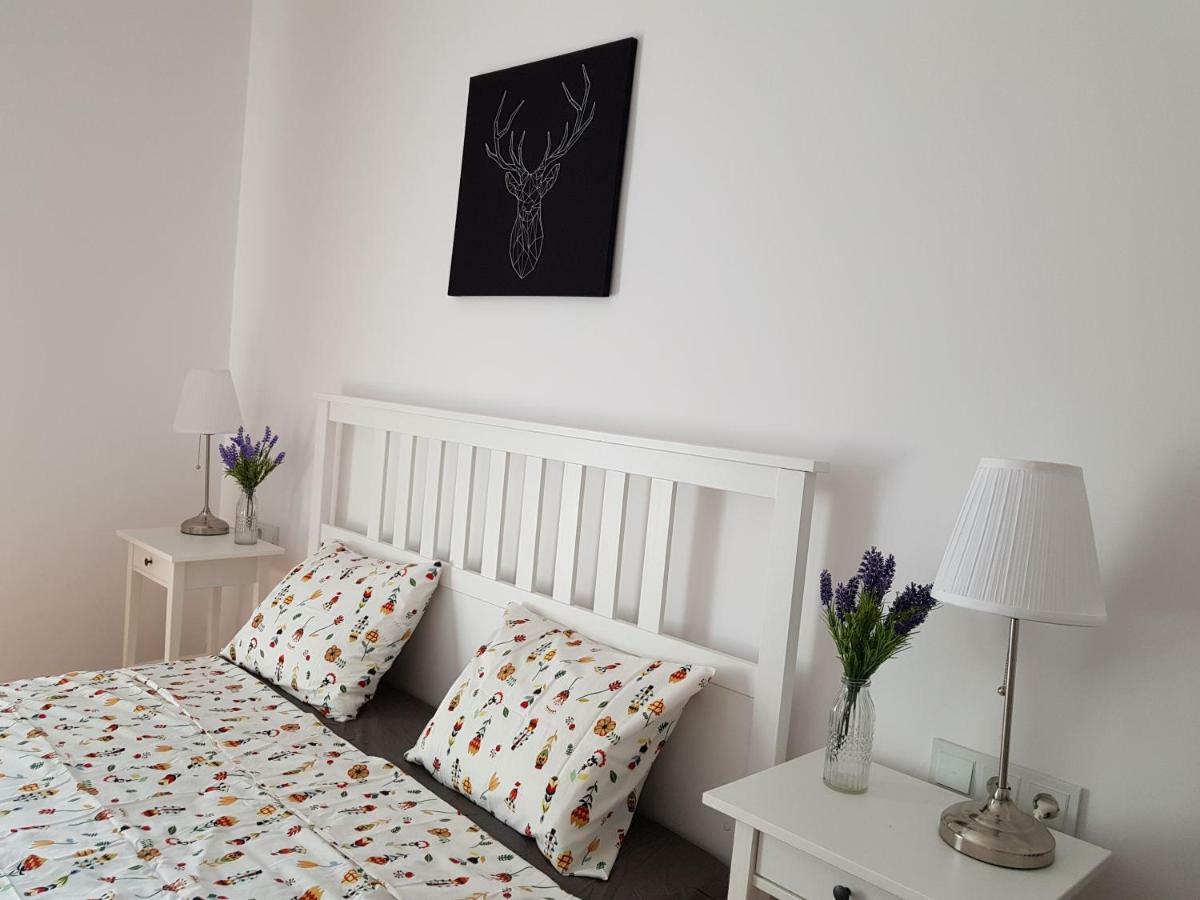 Oberiter Apartments - Center Of Zagreb, Fast Wifi, Ac, Kitchen, Parking Zewnętrze zdjęcie